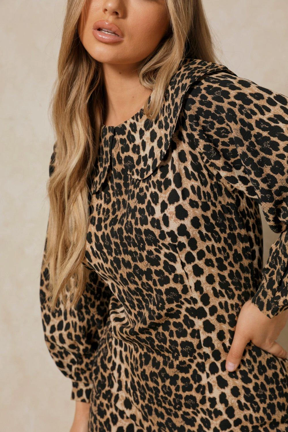 Leopard Print Peter Pan Collar Smock Dress 4 Leopard Print Peter Pan Collar Smock Dress - Image 2