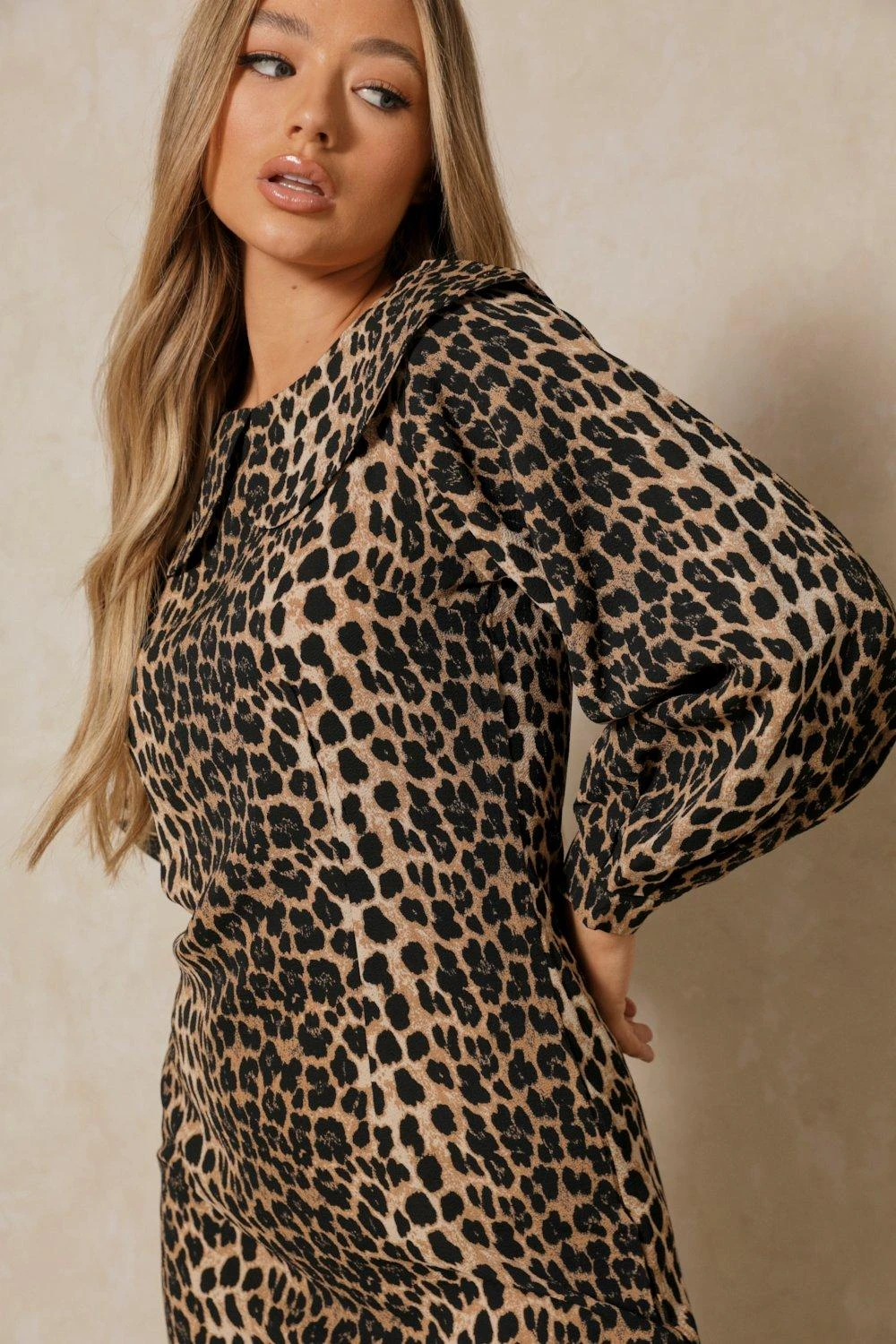Leopard Print Peter Pan Collar Smock Dress 7 Leopard Print Peter Pan Collar Smock Dress - Image 5