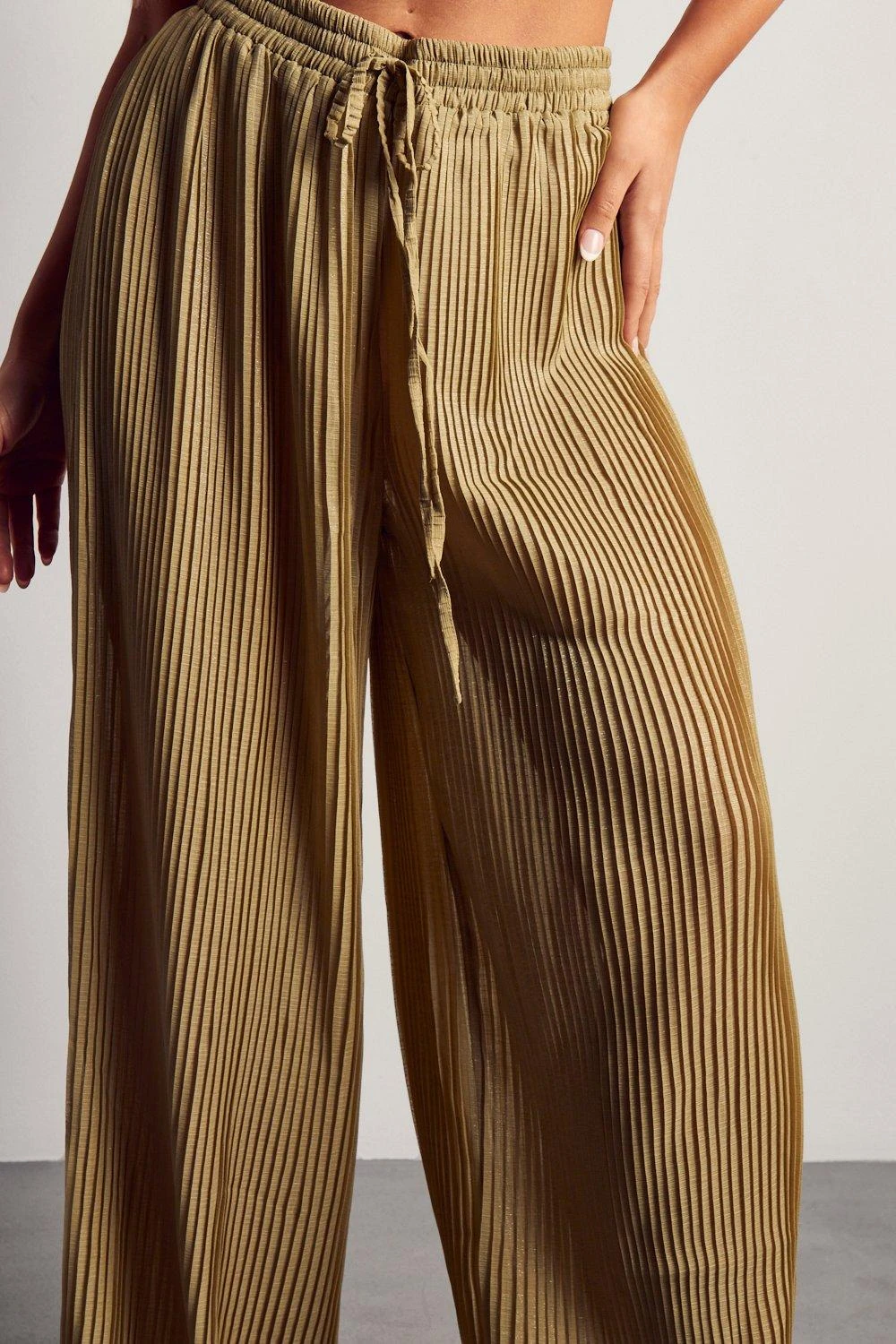 Wide Leg Sheer Glitter Plisse Trouser 4 Wide Leg Sheer Glitter Plisse Trouser - Image 2