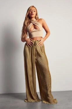 Wide Leg Sheer Glitter Plisse Trouser